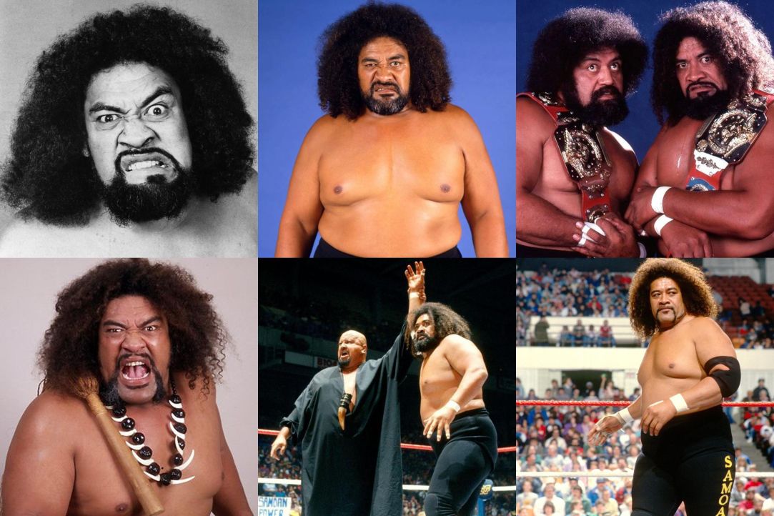 WWF Wrestling tweet media