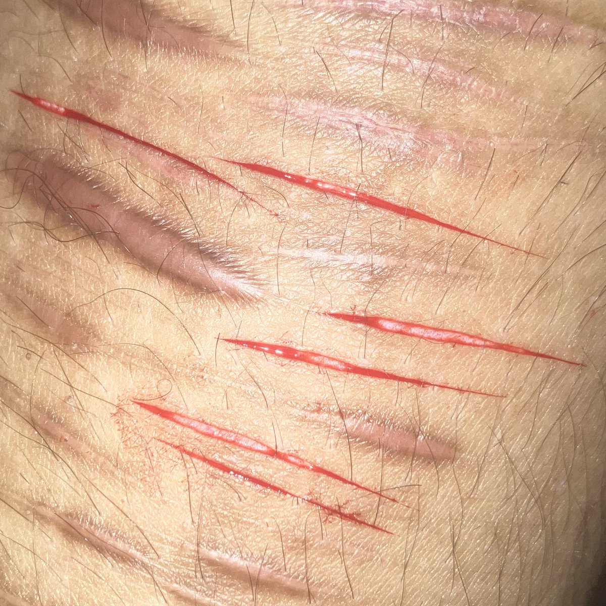 romania of SHEDtwt ♪ ྀི tweet media