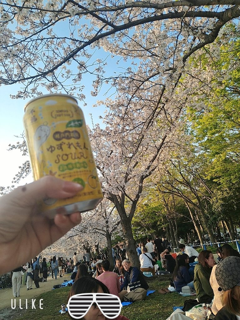 先日のお花見🌸🌸🌸