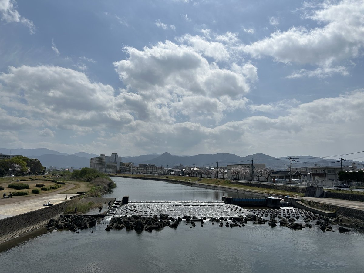 アカネ tweet media