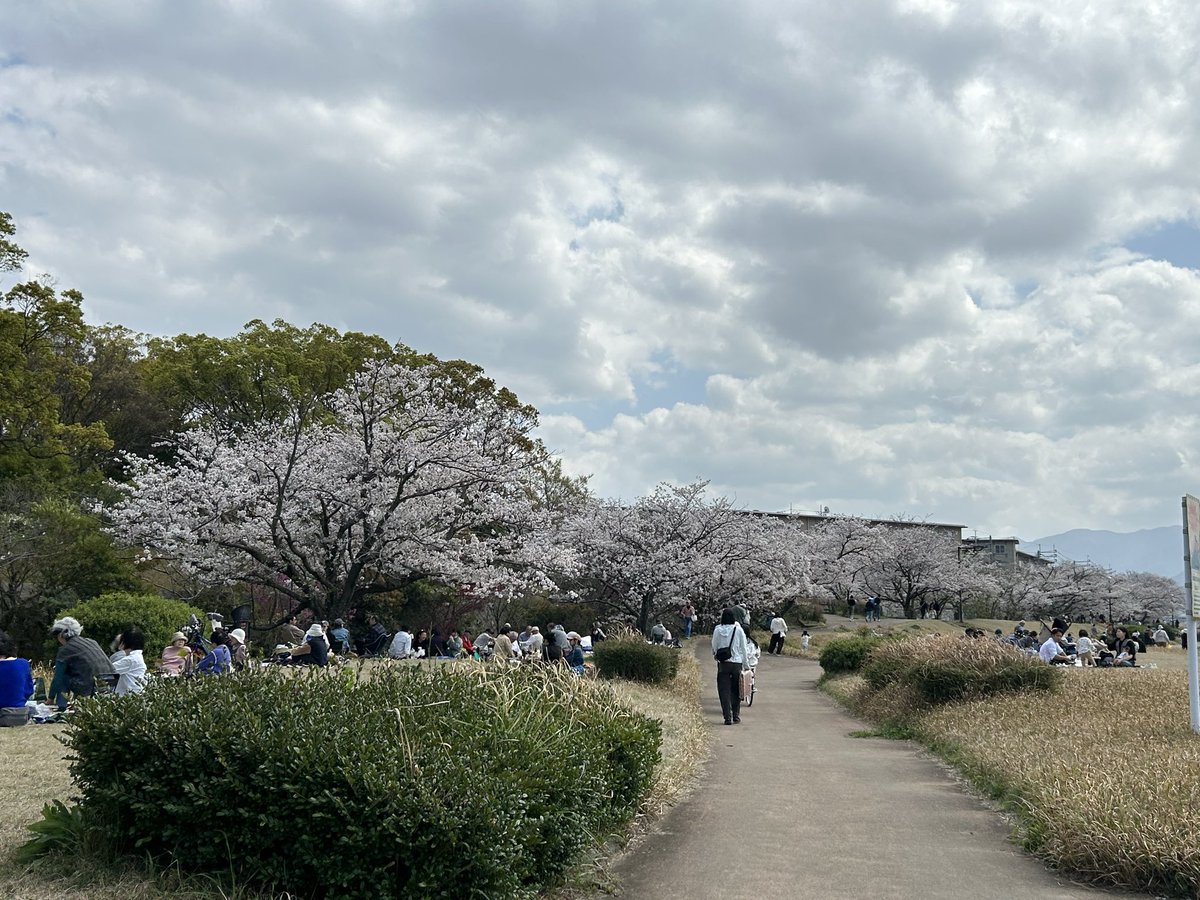 アカネ tweet media