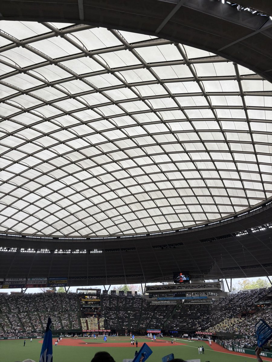 双獅迷 tweet media