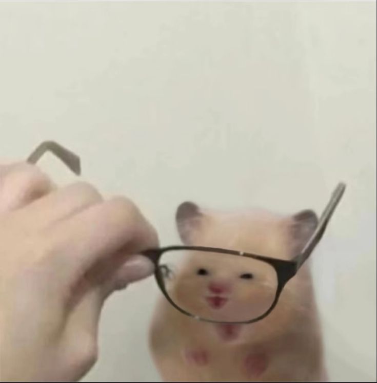 eLymØn🇲🇽 tweet media