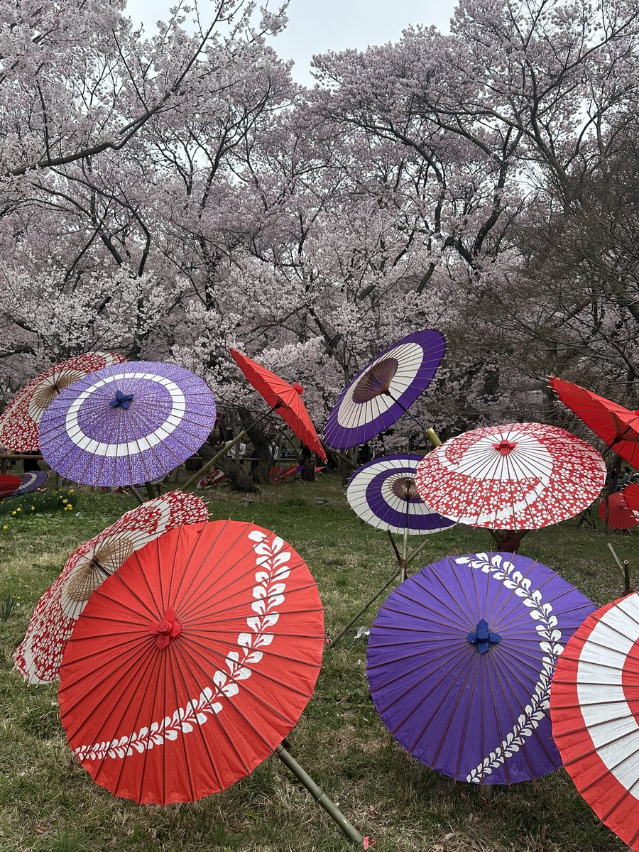 まさくん tweet media