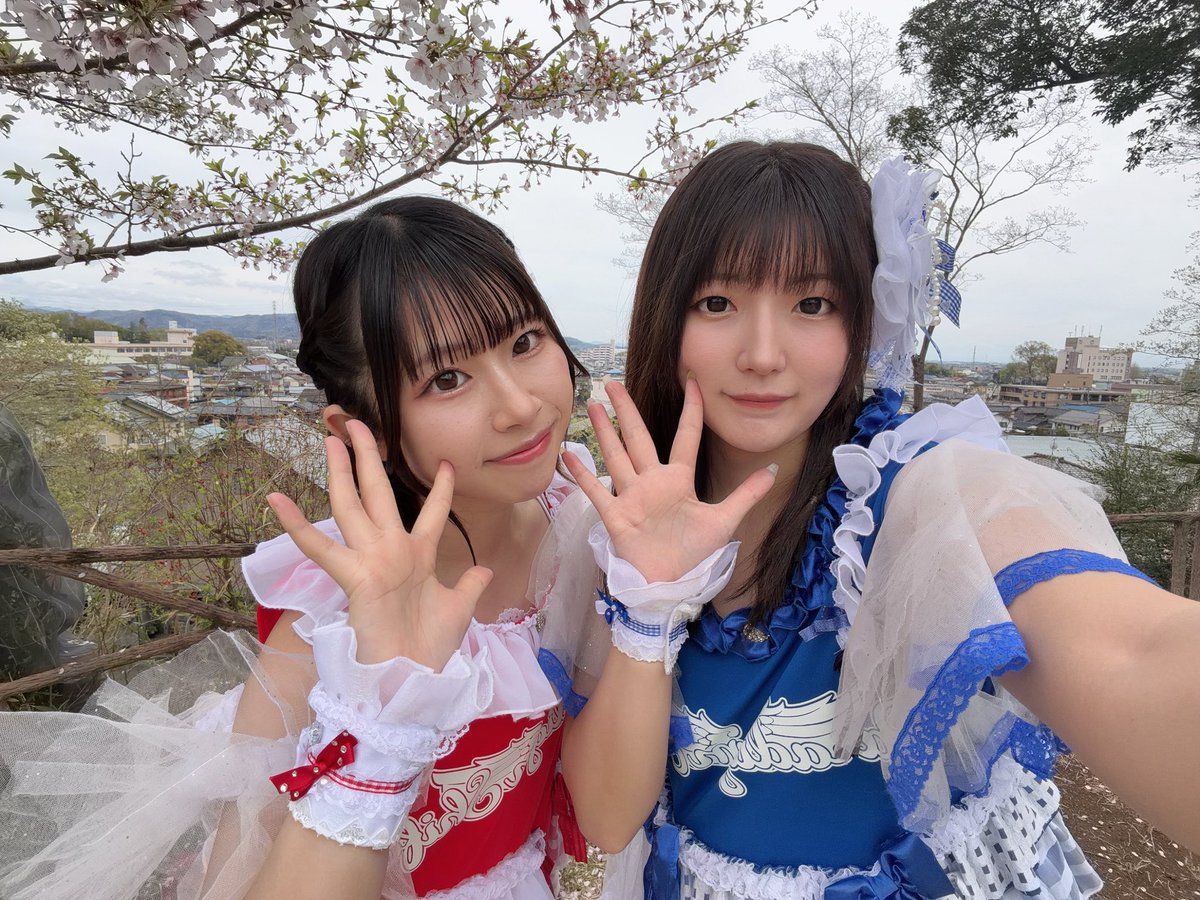 Paradigm Shift tweet media