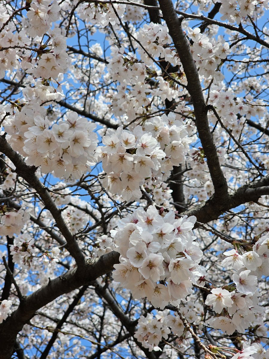 오연(ver.3) tweet media