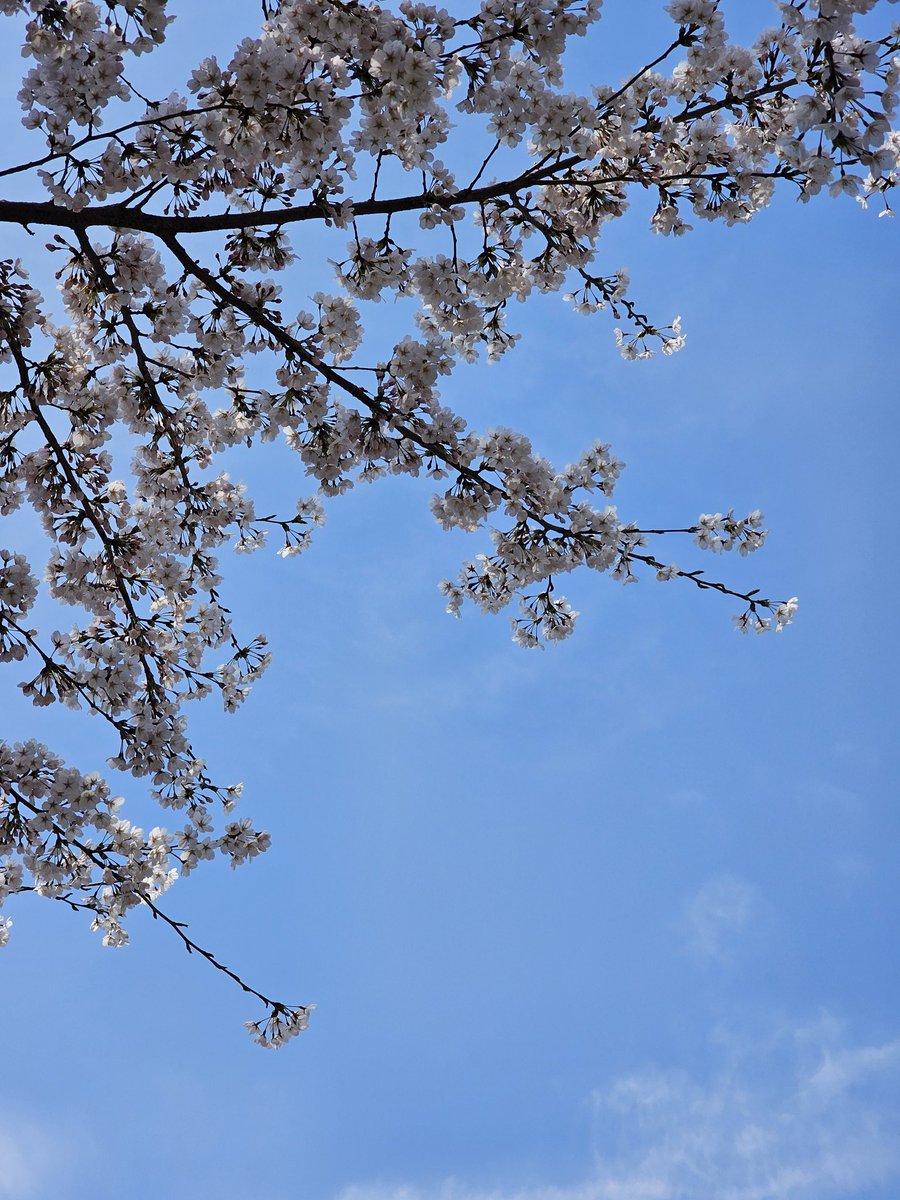 오연(ver.3) tweet media