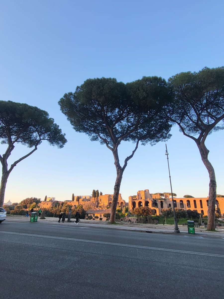 Theoretiker tweet media