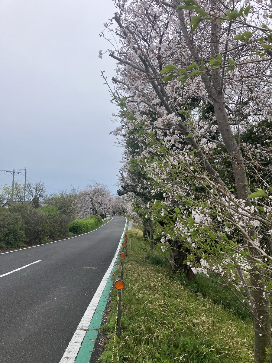 河口りま🟠藤枝市政改革委員 tweet media