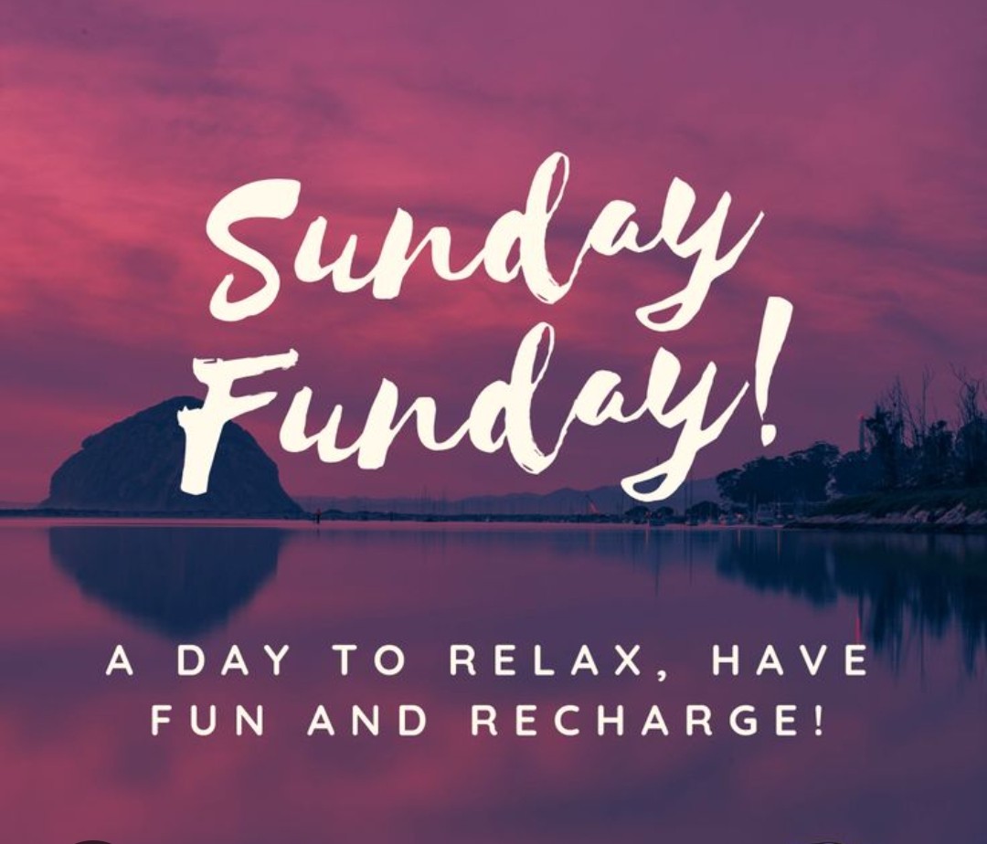 Shama Ayyub tweet media