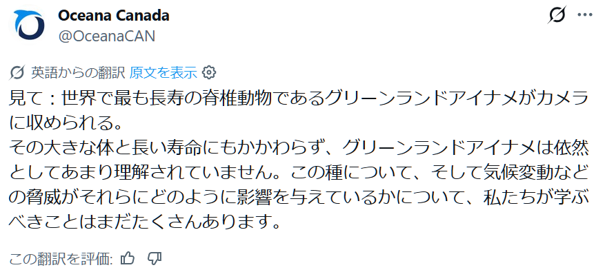 ℚ(きゅう) tweet media