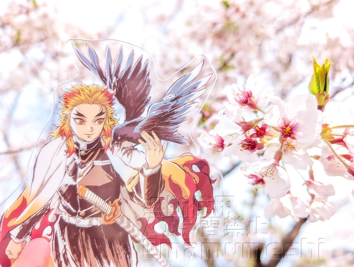 煉獄杏寿郎 「ちょっとだけお花見してきた〜綺麗だねぇ」|まむ🔥体調不良のイラスト