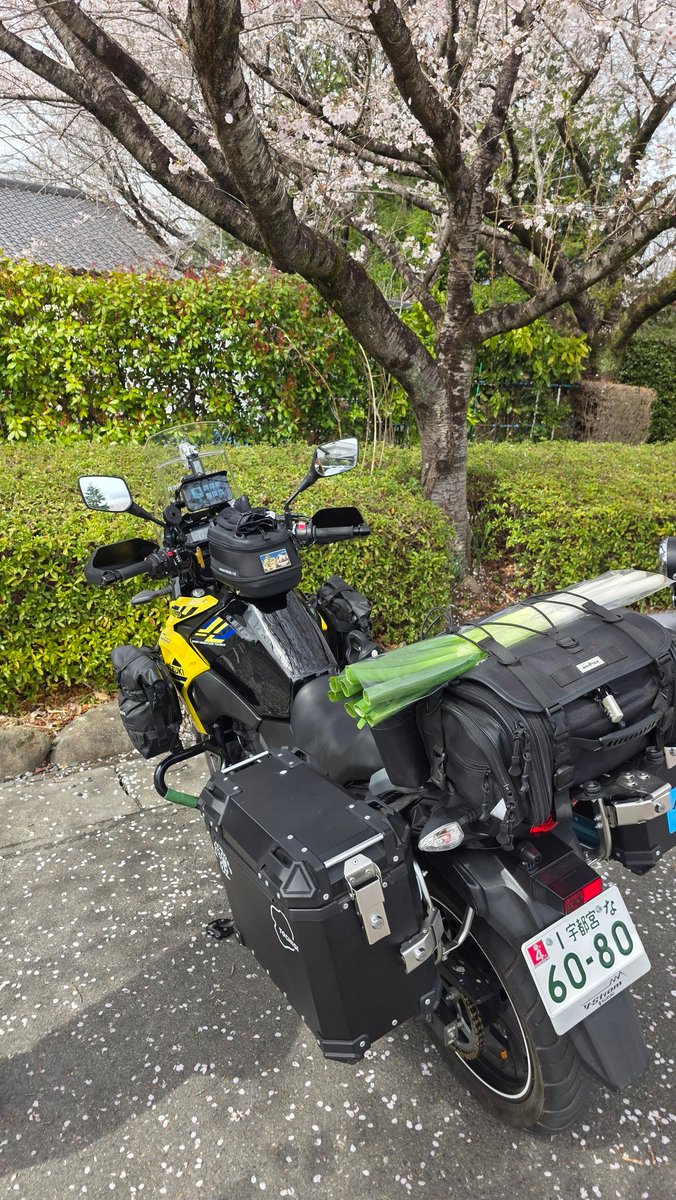 なせる@Vスト250🐓鈴菌保菌人類👾 tweet media