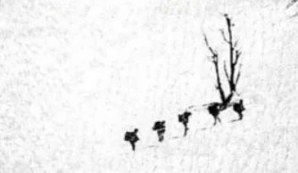 INTEL-24 tweet media