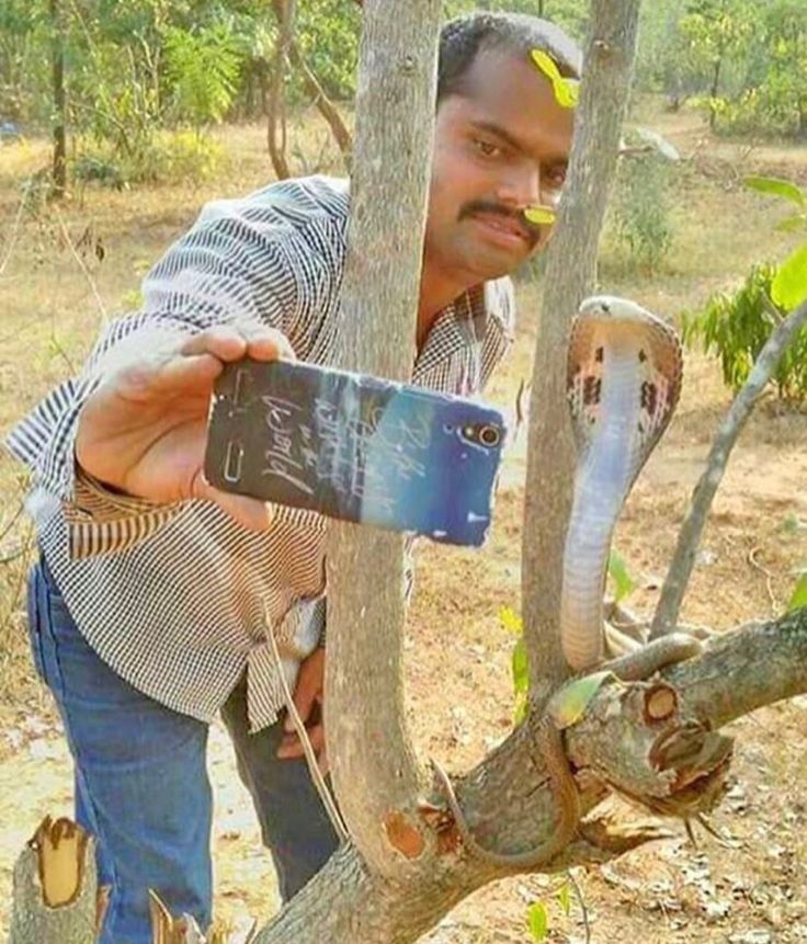 Hemlata Meena tweet media