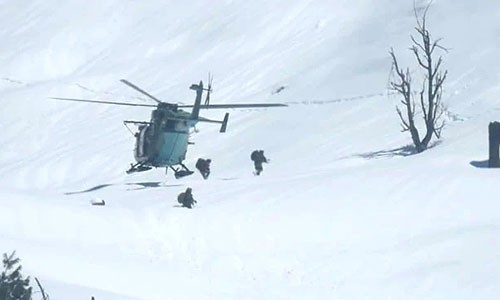 INTEL-24 tweet media