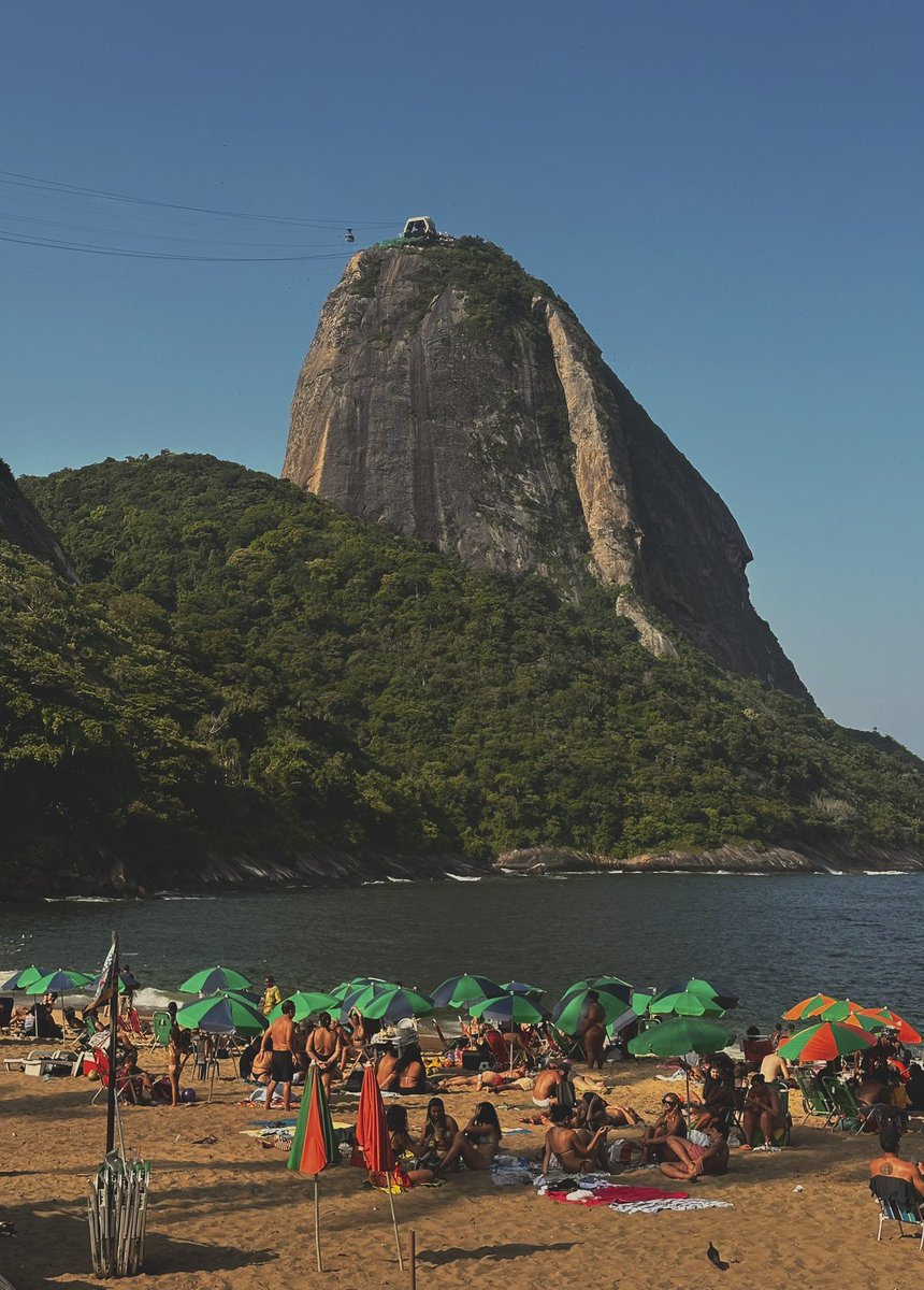 jpᶜʳᶠ 🏆🏆🏆🏆 tweet media