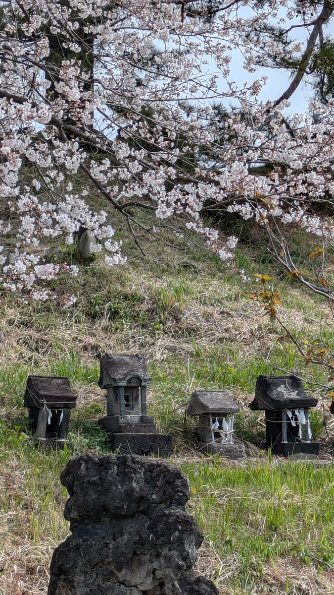 まちゃVRC✈️🌸🥽 tweet media