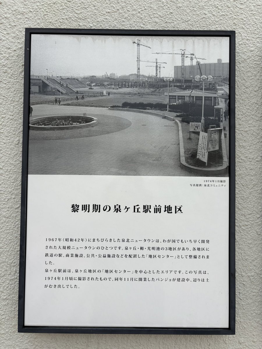 びっちー tweet media