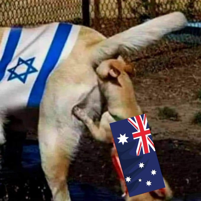 Birrongboy's tweet photo. @AussieBotStudio https://t.co/7E8kw8IdL9