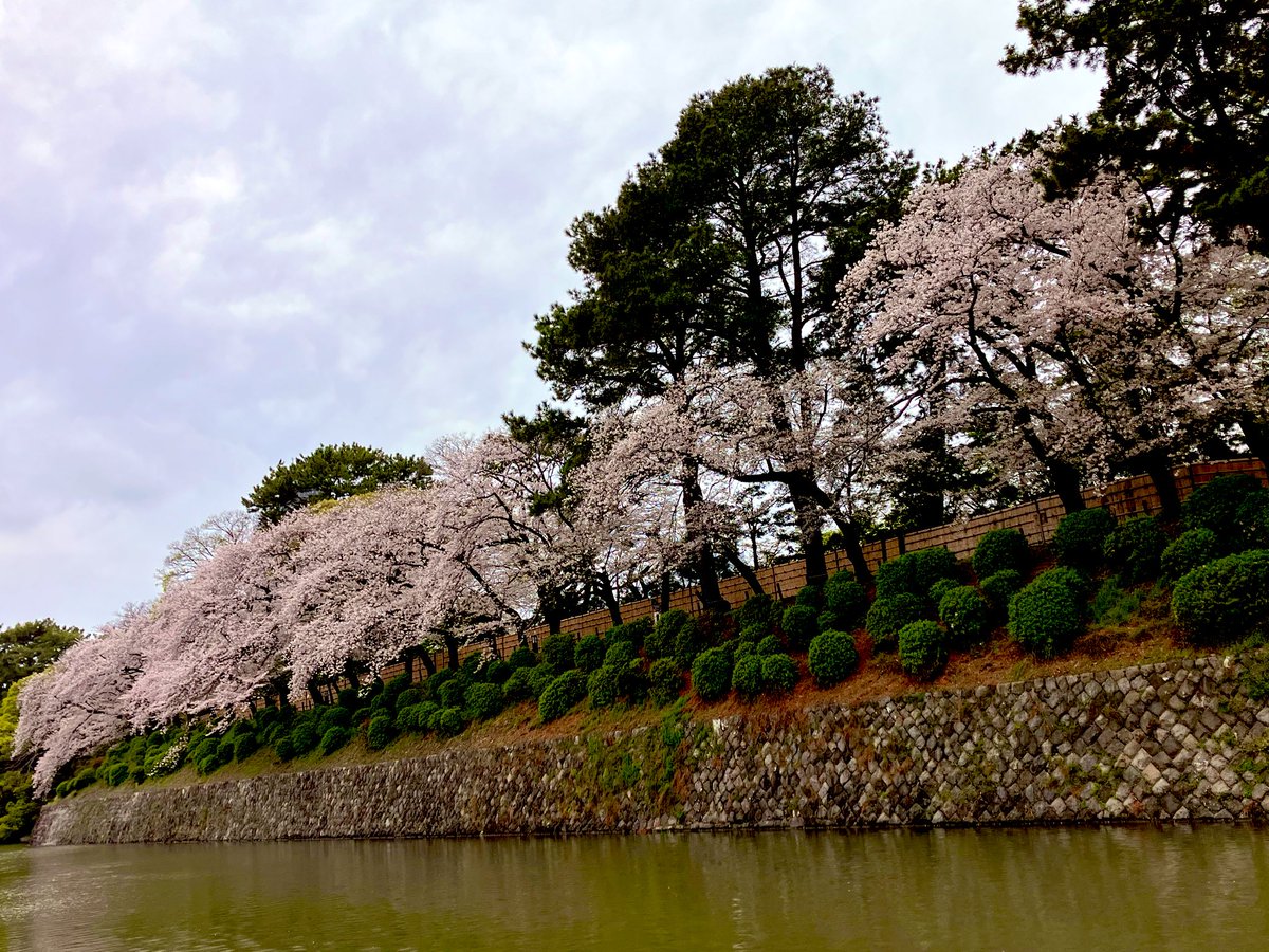 松下リッキー🍜🔰 tweet media