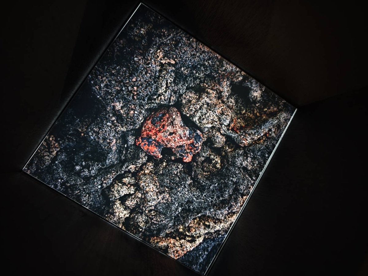 【柴田早理| COSMO PLASTICS】

open today 13:00〜18:30