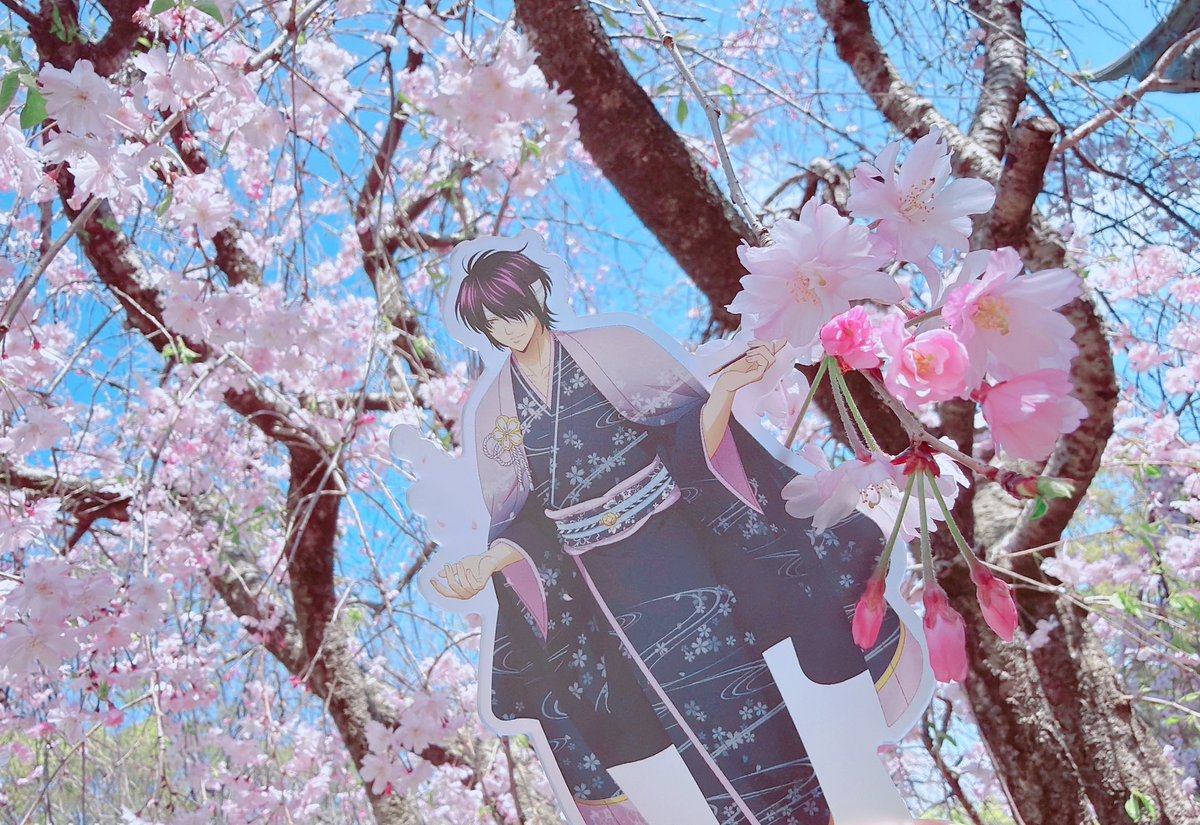 なぬん𓅿 tweet media