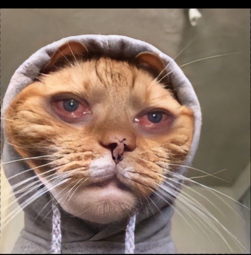 Ayômîde 🧢 tweet media