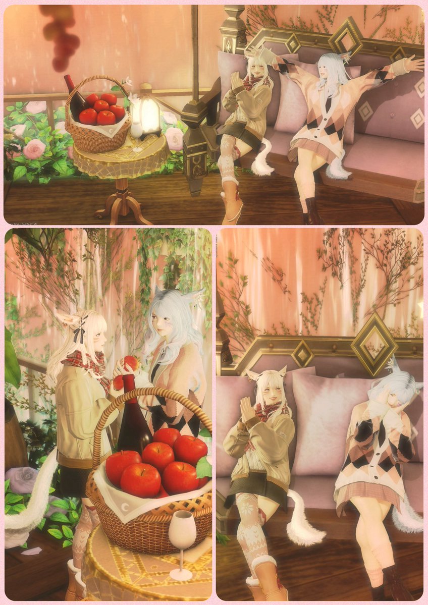 ruri 𖤣𖥧𖥣。𖥧𖧧❁⃘*.゚🦋 tweet media