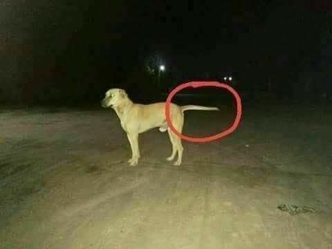 Hemlata Meena tweet media