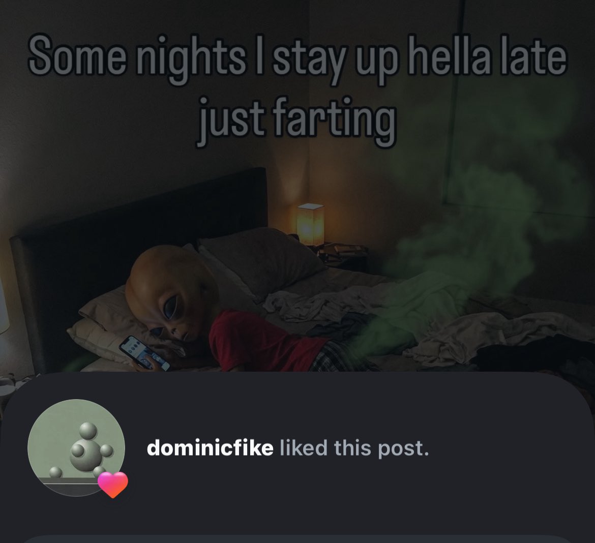 lia 🎠 tweet media