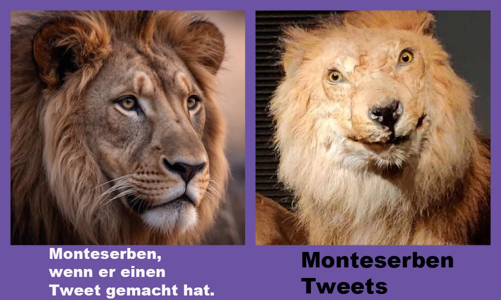 bronkizz2005 tweet media