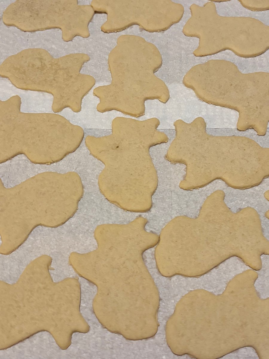 Saw Grandma’s cookie cutter in the drawer and started on a mission.  I haven’t had these Bunny Cookies in years.  I’ll have to defer to my brother how I did.  Happy Easter!  🐰