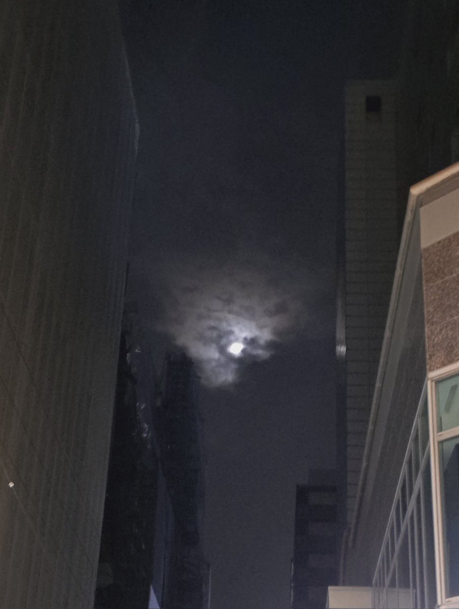 tomocococo tweet media