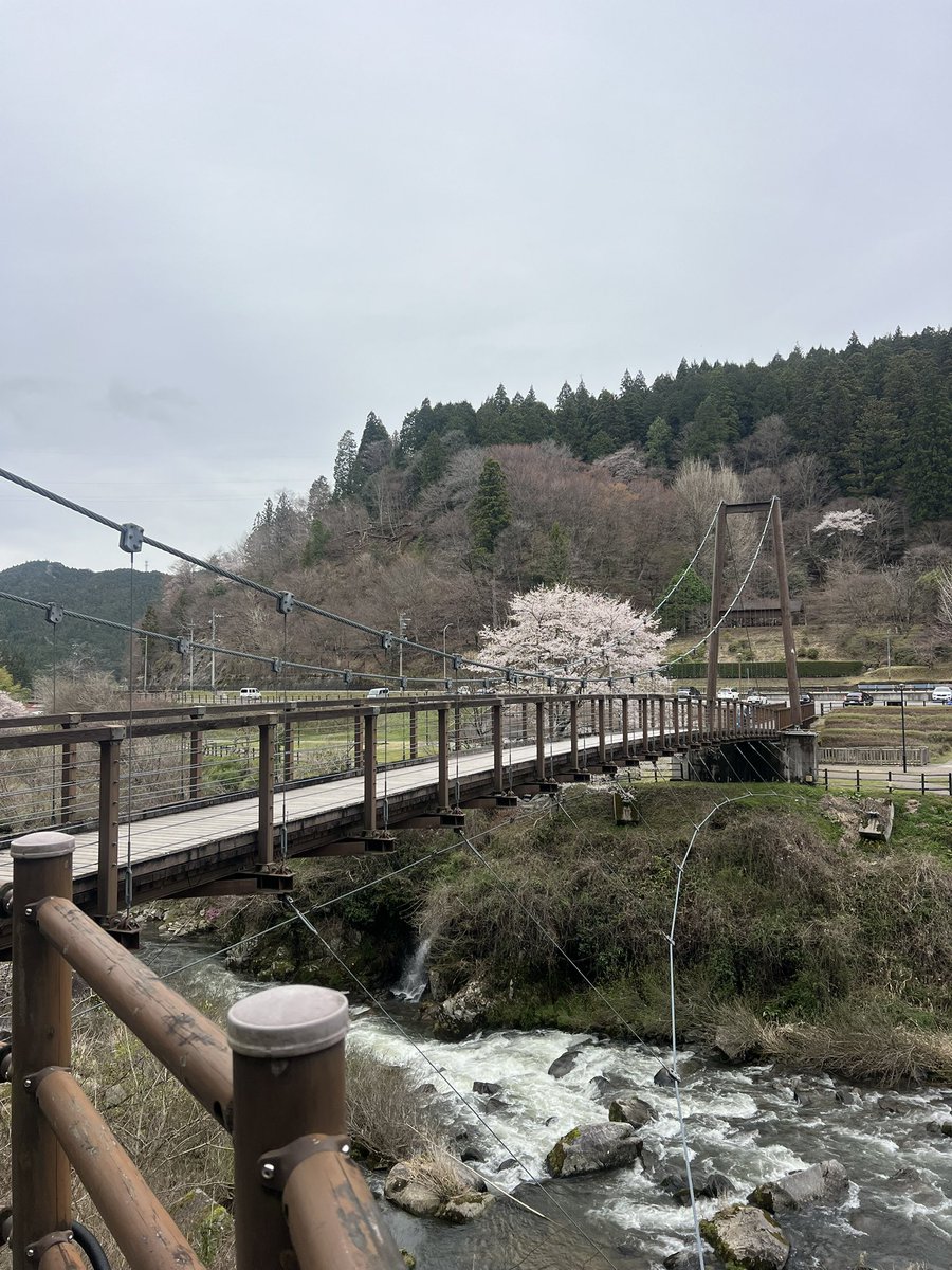 マキシマム🥎🏍️チャンネル🥩🍜 ㉝ 🐶🐾🐹 tweet media