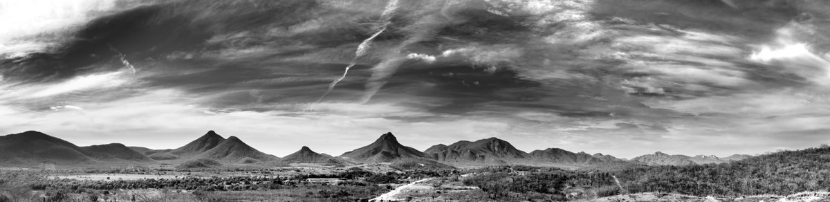 Alfredo Juárez tweet media