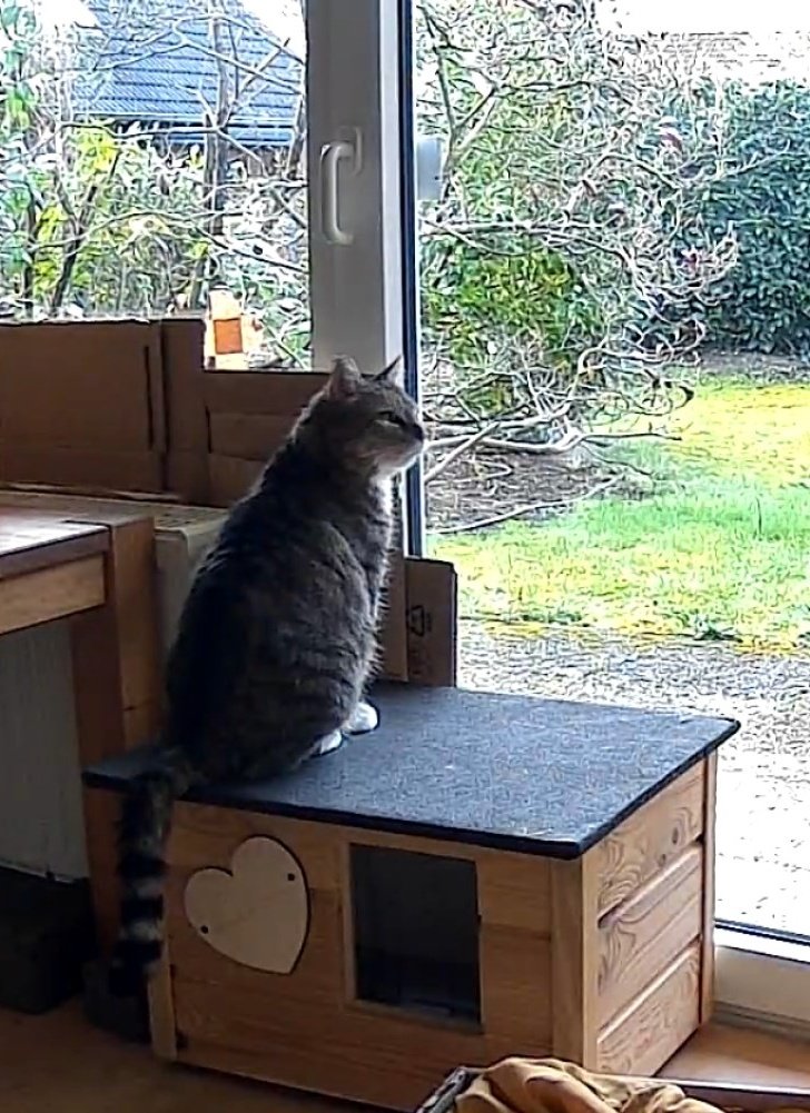 Frau_Em aka Günni tweet media