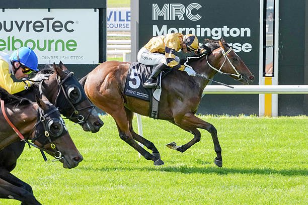 FeekRacing's tweet image. WINNER! A much deserved victory for Pol Rogeur on the home track @MelbRacingClub Congratulations to all involved.
#feekracing #winners
