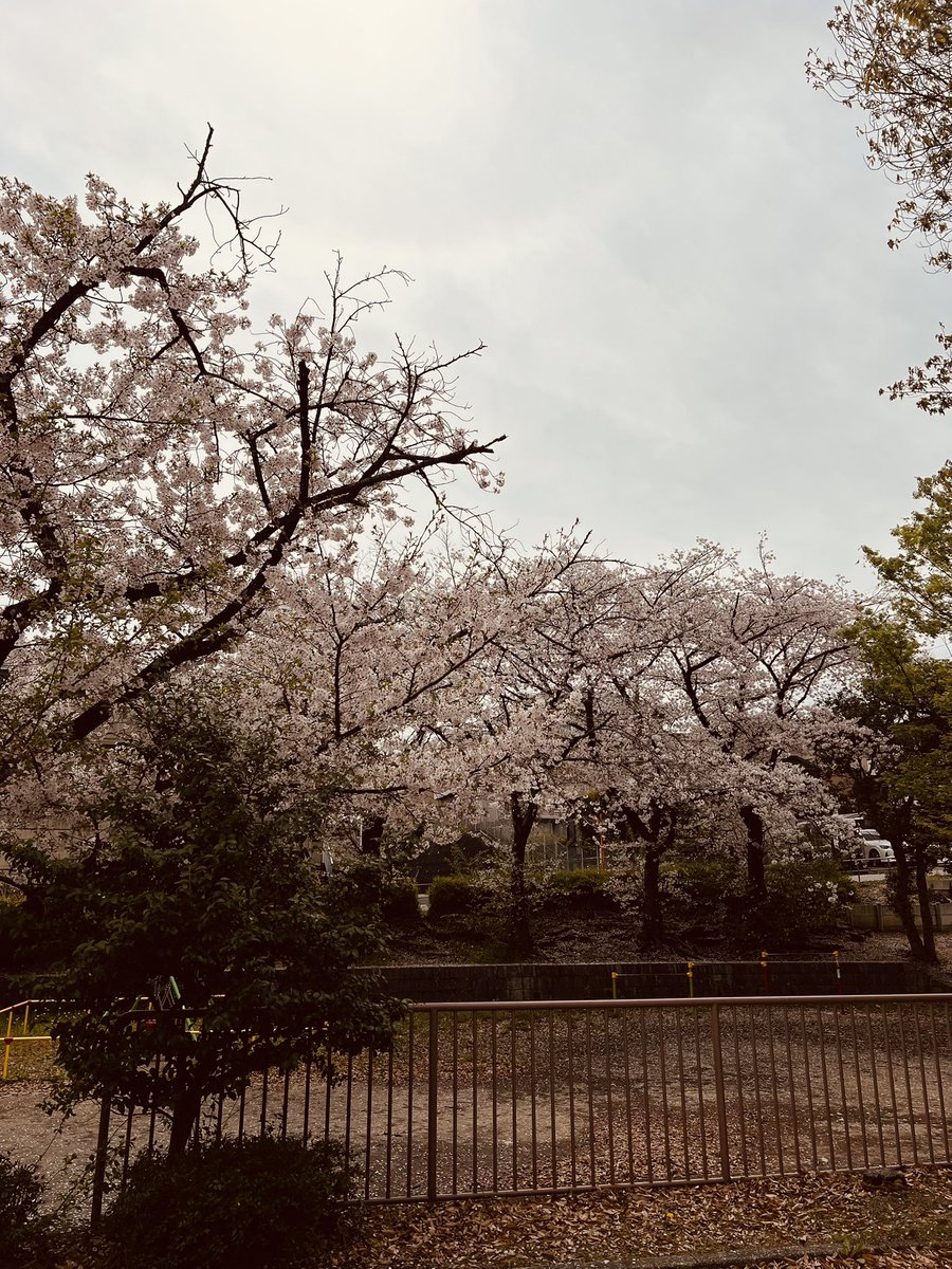 うりんこ tweet media