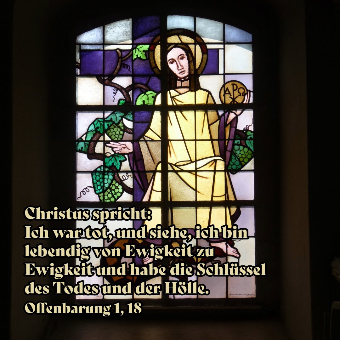 Jörg Bachmann tweet media