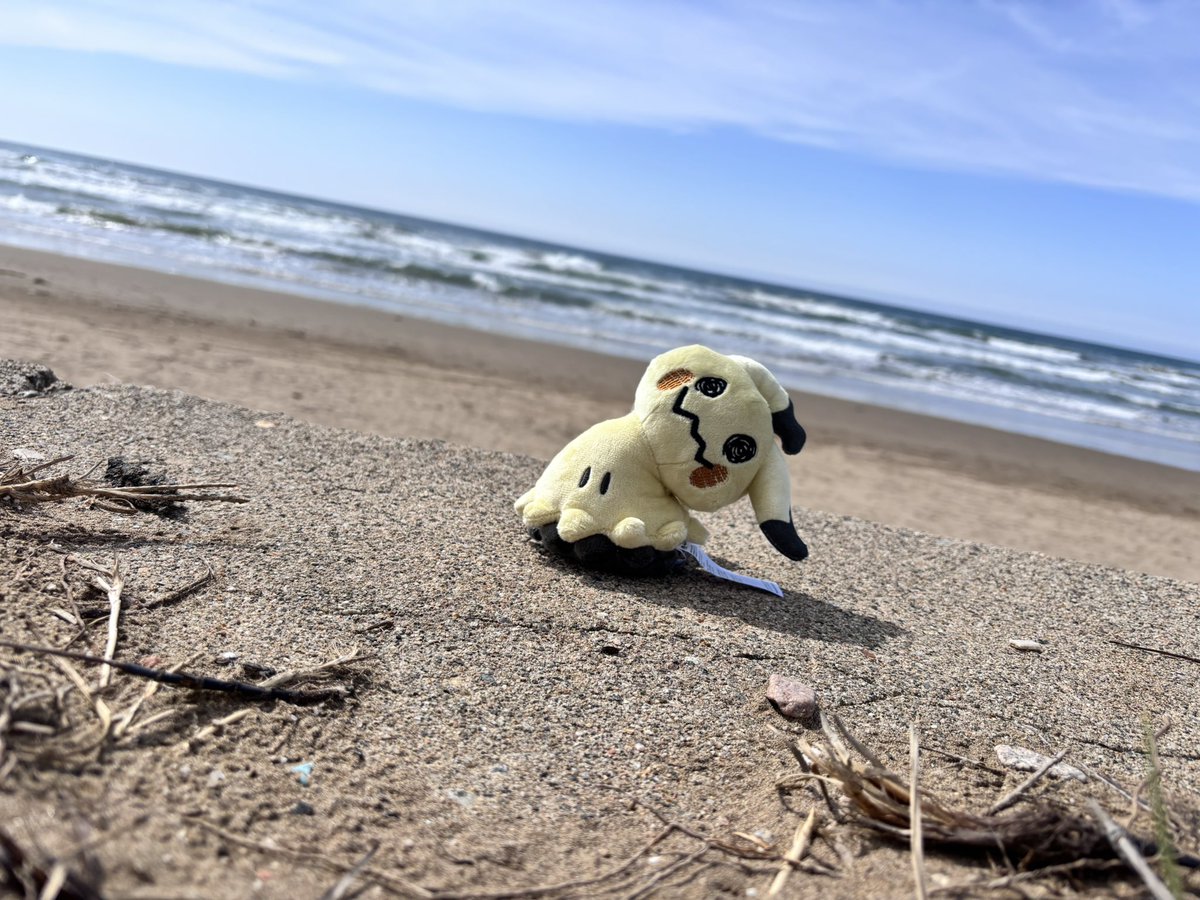 Michael Cox@元美濃川 tweet media