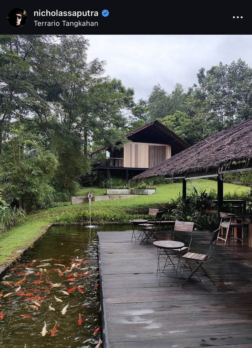 むーも tweet media