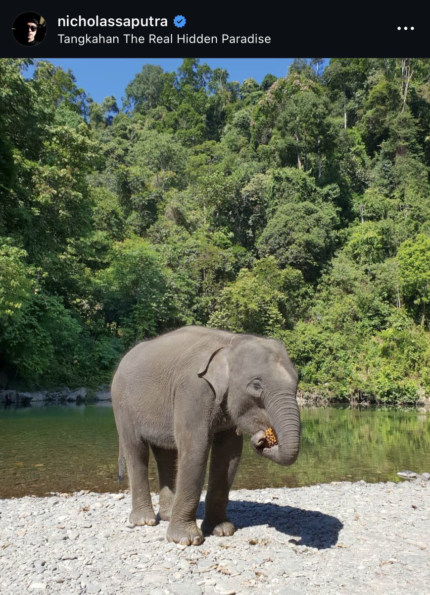 むーも tweet media