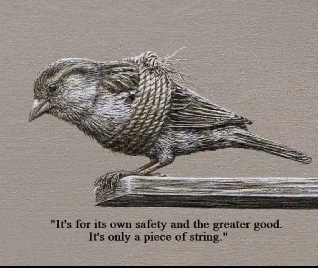 Mads Palsvig tweet media