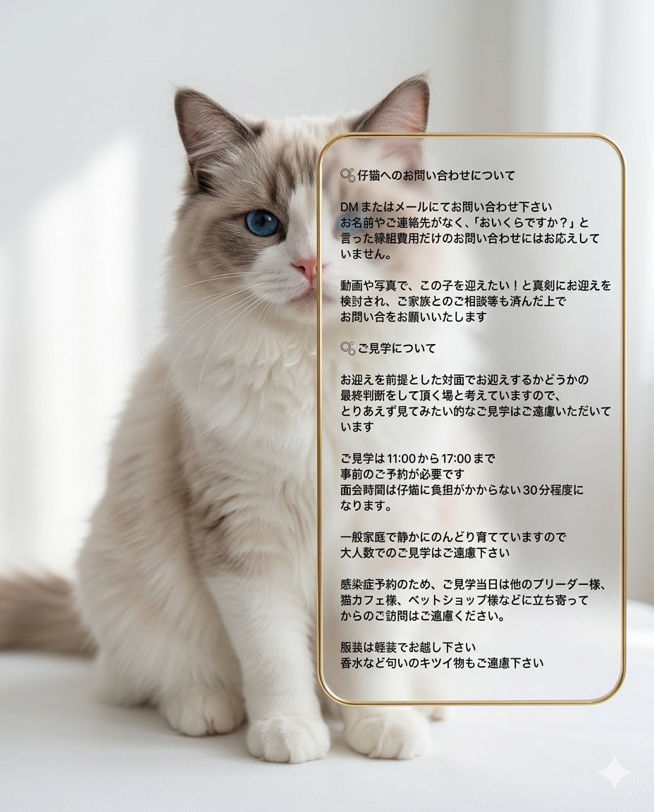 Ryoko❦ tweet media