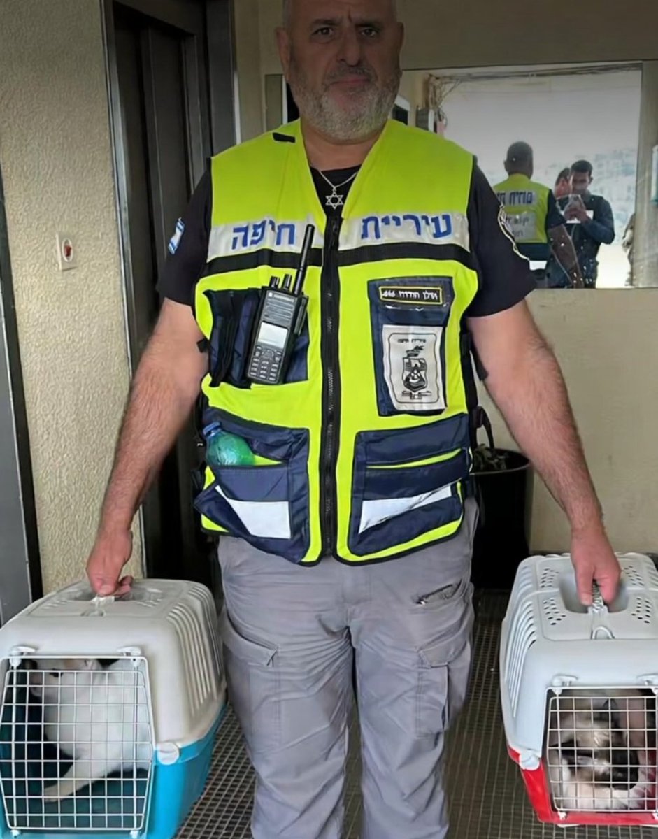 TRUMPSTEIN tweet media