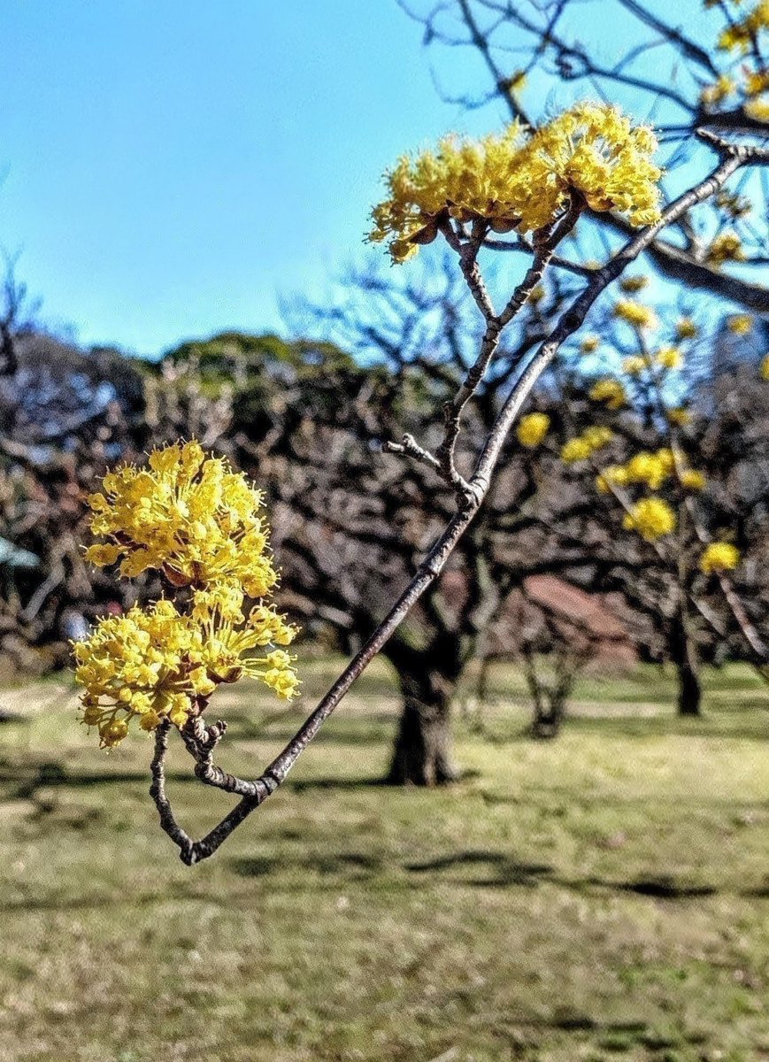福山満幸 tweet media