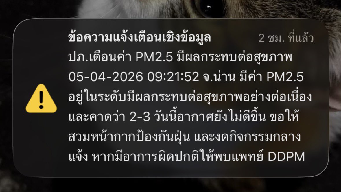 Rakmadekk tweet media