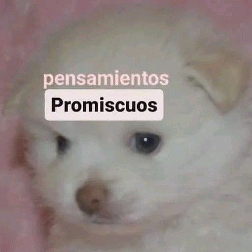 𝒱𝒶𝓁ℯ𝓃𝓉𝒾𝓃ℯ tweet media