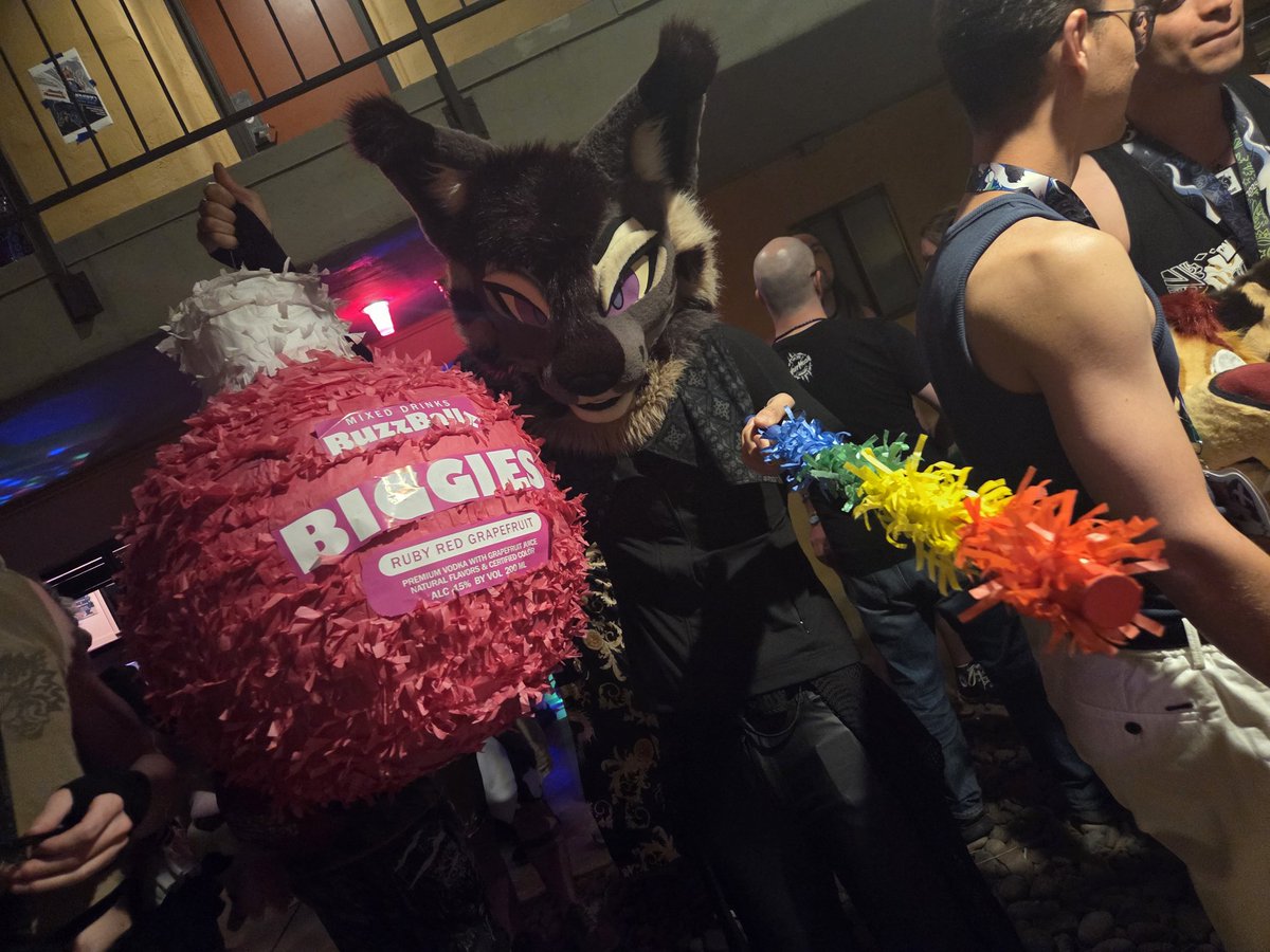 Helo 🐶 🐰 🔞 tweet media